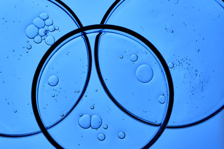 Petri dishes on a blue background.の写真素材