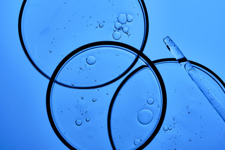 Petri dishes with PDRN on a blue background.の写真素材