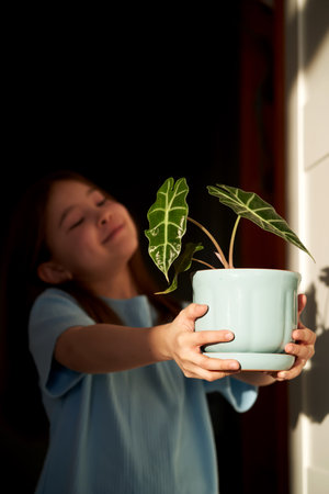 Girl holding houseplant in sunlight celebrating natureの写真素材