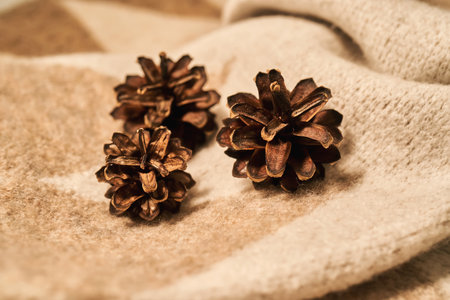 Pine cones resting on soft knitted blanket