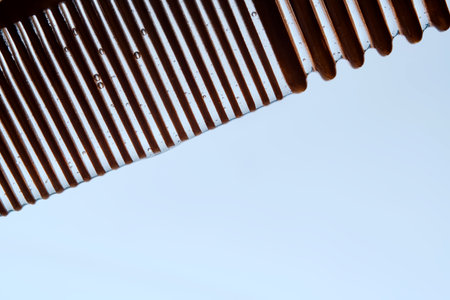 A comb with hair serum. The photo shows the texture of the cosmetic product.の写真素材