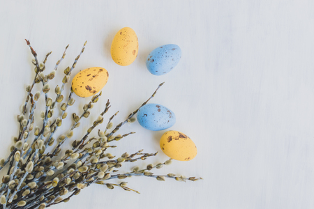 Easter eggs and willows on a light backgroundの写真素材