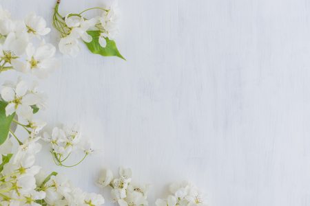 White spring flowers on a light background empty space for your text, top viewの写真素材