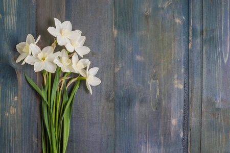 White daffodils on a rustic wooden background with copy space in a flat lay compositionの写真素材
