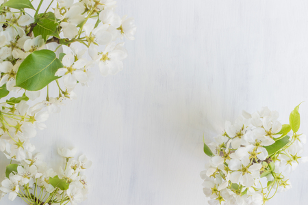 White spring flowers on a light background empty space for your text, top viewの写真素材