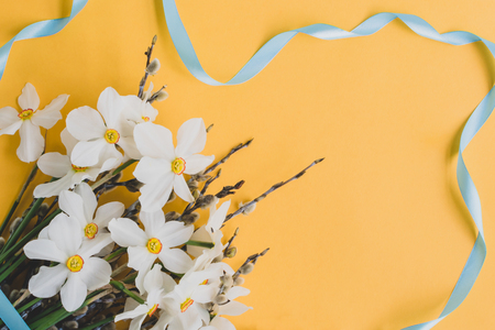 White daffodils and willow branches on a yellow background empty space for your text, top viewの写真素材