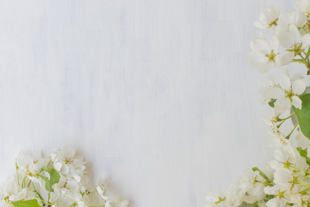 White spring flowers on a light background empty space for your text, top viewの写真素材