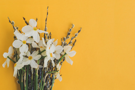 White daffodils and willow branches on a yellow background empty space for your text, top viewの写真素材