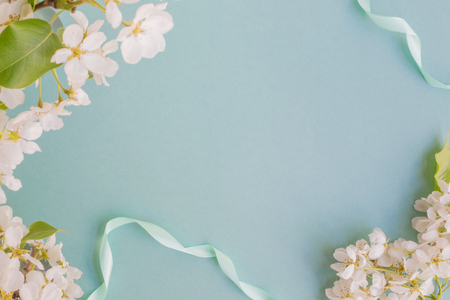 White spring flowers on a light blue background empty space for your text, top viewの写真素材
