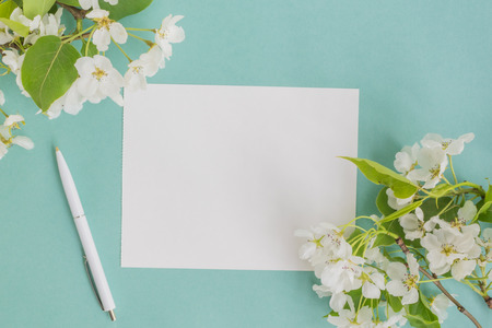 Mockup white greeting card with white spring flowers and light blue backgroundの写真素材