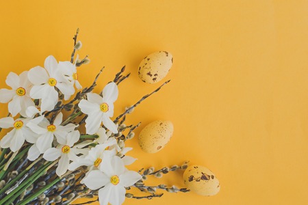 Easter eggs willow branches and white daffodils on a yellow backgroundの写真素材