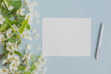 Mockup white greeting card with white spring flowers and light blue backgroundの写真素材