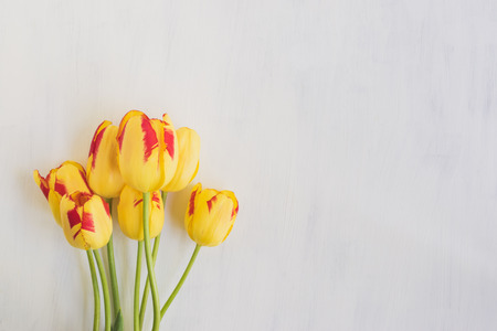 Yellow tulips flowers on a light background empty space for your text, top viewの写真素材