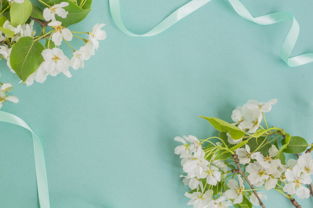 White spring flowers on a light blue background empty space for your text, top viewの写真素材