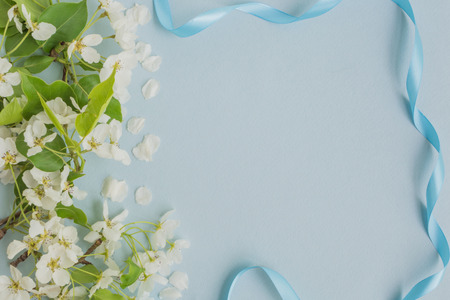 White spring flowers on a light blue background empty space for your text, top viewの写真素材
