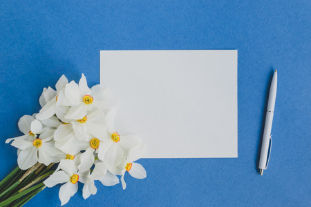 Mockup white greeting card with white daffodils flowers and blue backgroundの写真素材