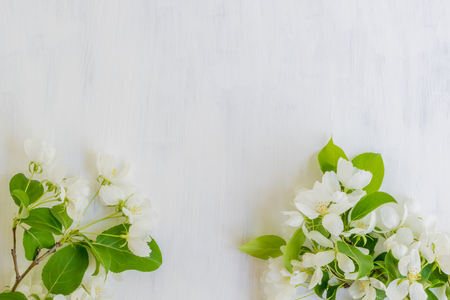 White spring flowers on a light background  empty space for your text, top viewの写真素材