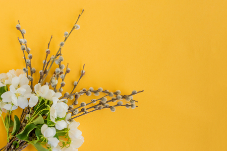 White spring flowers and willow branches on a yellow background empty space for your text, top viewの写真素材
