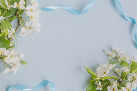 White spring flowers on a light blue background empty space for your text, top viewの写真素材