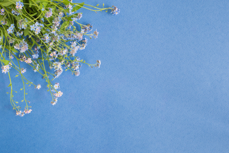Blue flowers on a blue background empty space for your text, top viewの写真素材