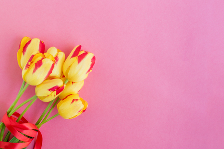 Yellow tulips flowers on a pink background empty space for your text, top viewの写真素材