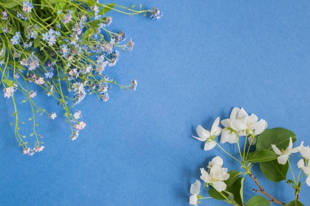 Blue and white flowers on a yellow background empty space for your text, top viewの写真素材