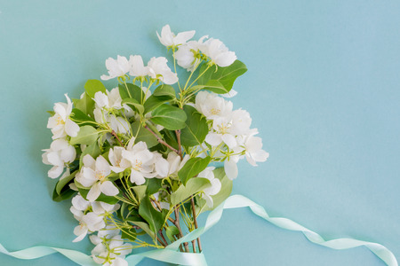 White spring flowers on a light blue background  empty space for your text, top viewの写真素材