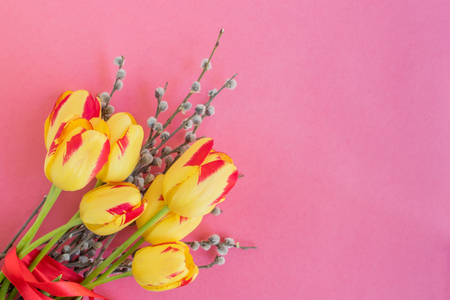 Yellow tulips and willow branches on a pink background empty space for your text, top viewの写真素材