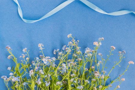 Blue flowers on a blue background empty space for your text, top viewの写真素材