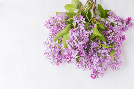 Lilac branches on a light background empty space for your text, top viewの写真素材