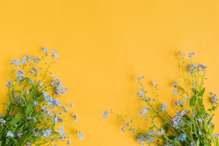 Blue flowers on a yellow background empty space for your text, top viewの写真素材