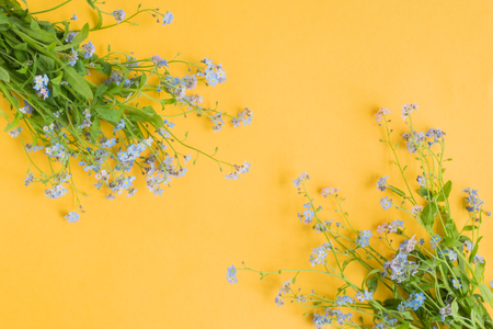 Blue flowers on a yellow background empty space for your text, top viewの写真素材