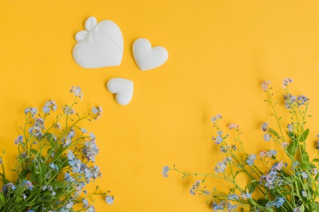 Blue flowers on a yellow background empty space for your text, top viewの写真素材