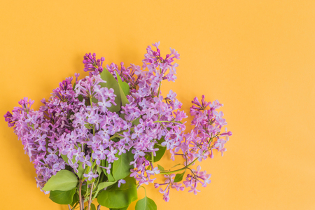 Lilac branches on a yellow background empty space for your text, top viewの写真素材