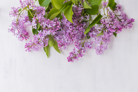 Lilac branches on a light background empty space for your text, top viewの写真素材