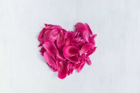 Pink flower petals on a light backgroundの写真素材