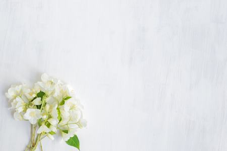 White jasmine flowers on a light background empty space for your text, top viewの写真素材