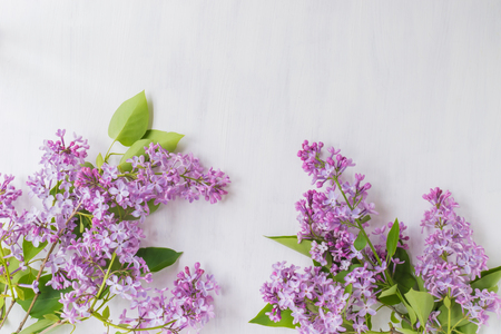 Lilac branches on a light background empty space for your text, top viewの写真素材