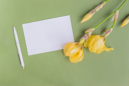 Mockup white greeting card with iris flower and green backgroundの写真素材