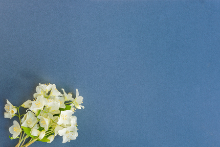 White jasmine flowers on a dark background empty space for your text, top viewの写真素材