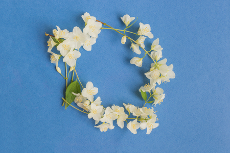 White jasmine flowers on a blue background empty space for your text, top viewの写真素材