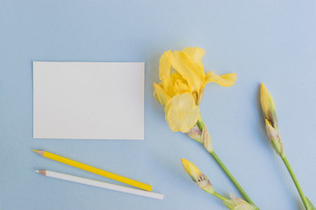 Mockup white greeting card with iris flower and light blue backgroundの写真素材