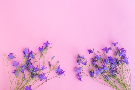 Summer flowers on a pink background empty space for your text, top viewの写真素材