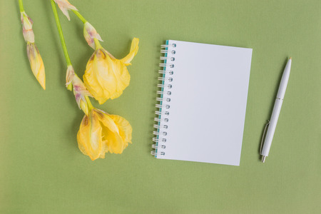 Mockup notebook with iris flower and green background empty space for your text, top viewの写真素材