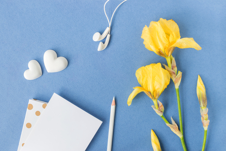 Flat lay desk with iris flower, notebook and greeting card on blue backgroundの写真素材