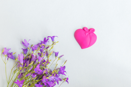 Summer flowers on a light background empty space for your text, top viewの写真素材