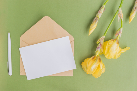 Mockup white greeting card and envelope with iris flowers and green backgroundの写真素材
