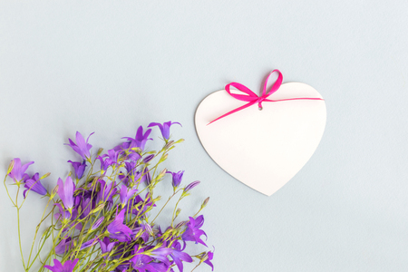 Summer flowers on a light background empty space for your text, top viewの写真素材