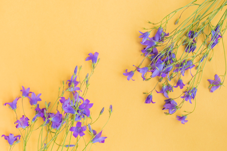 Summer flowers on a yellow background empty space for your text, top viewの写真素材