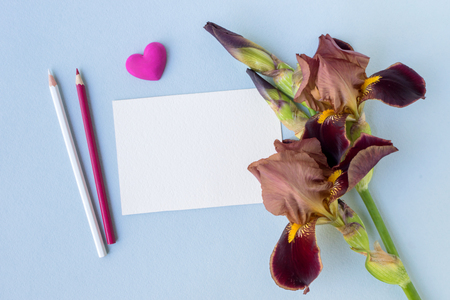 Mockup white greeting card with iris flower and light blue backgroundの写真素材